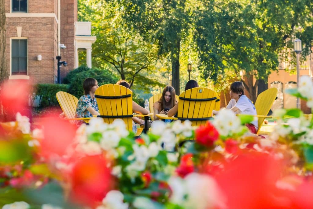 A group of students sitting in yellow Adirondack chairs with flowers in the foreground.